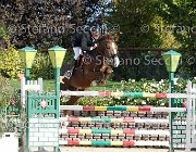 Falzini Idea meravigliosa GioCav2013 S6 7541 : Campionati Italiani Giovani Cavalli, Cattolica, Falzini Stefano, Idea meravigliosa, ph Stefano Secchi ©
